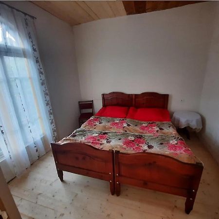Nino & Tarzan Guesthouse Adishi エクステリア 写真