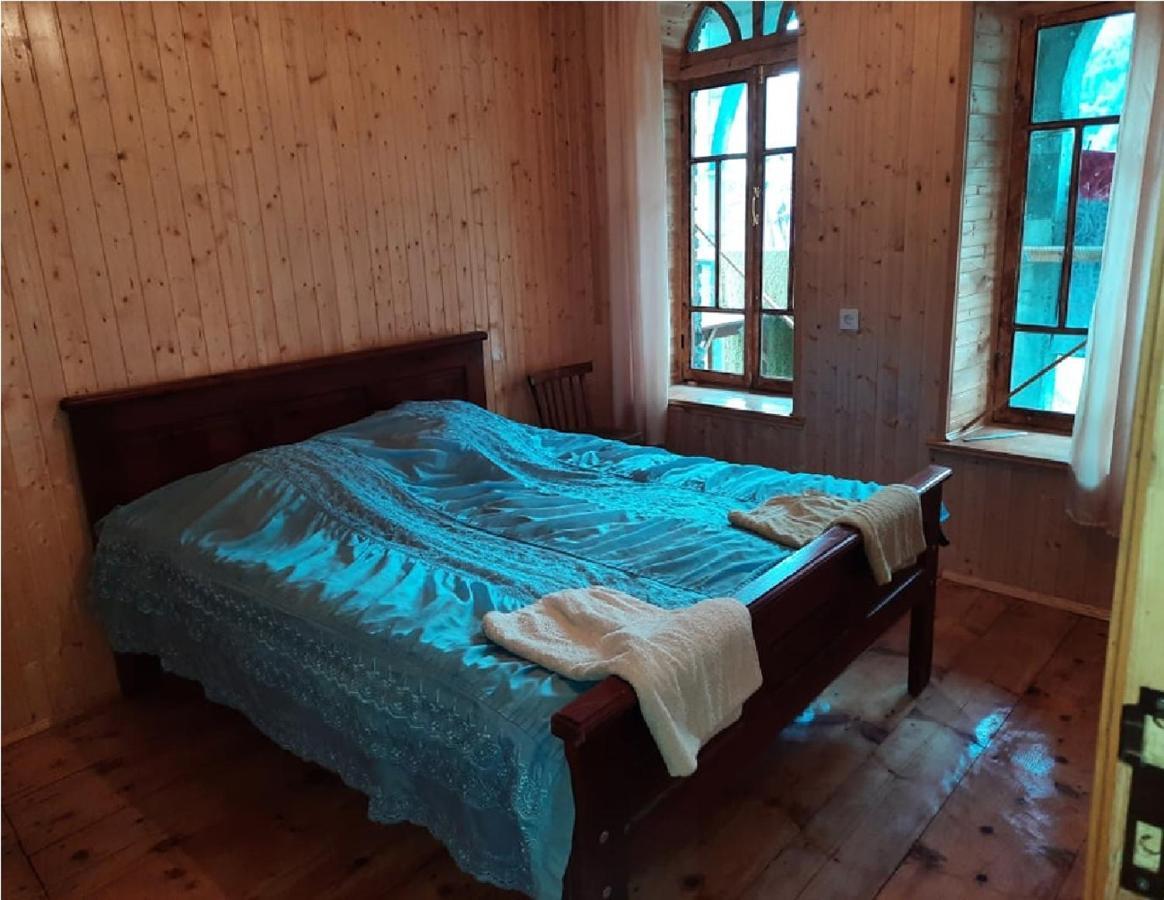 Nino & Tarzan Guesthouse Adishi エクステリア 写真