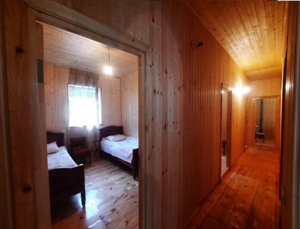 Nino & Tarzan Guesthouse Adishi エクステリア 写真
